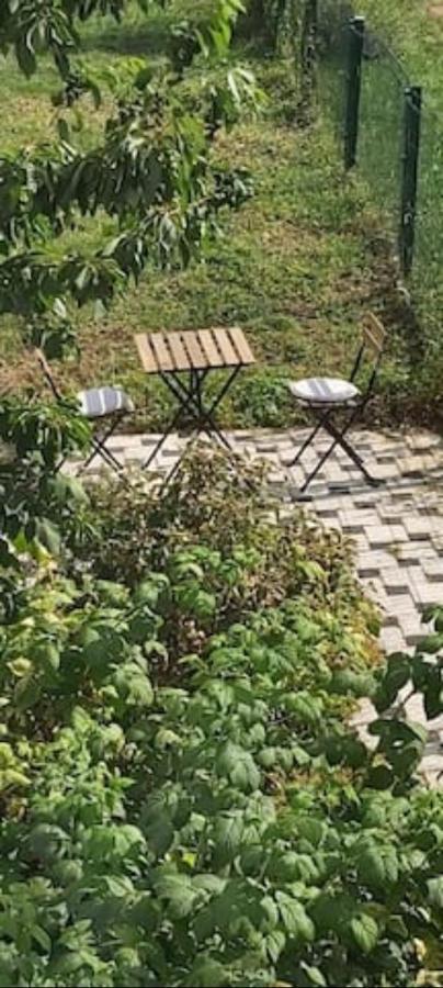Lovely Appartment With Private Patio And Private Entrance In Luxembourg 60M2 Saeul Extérieur photo